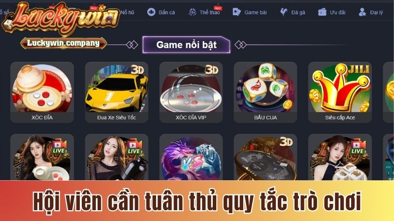 Hội viên cần tuân thủ chính xác quy tắc trò chơi